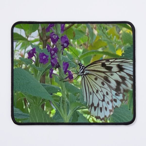 Item preview, Verbena and Butterfly designed and sold by aurorarealis.