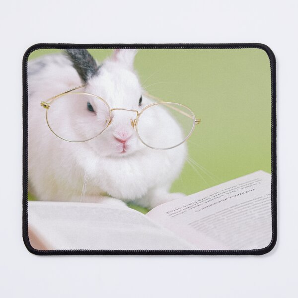 Item preview, Study Bunny designed and sold by MomMamaMaaam.