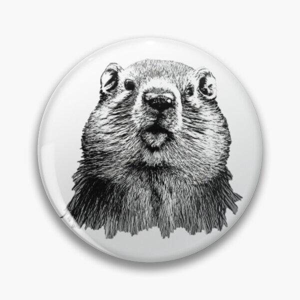 Item preview, Gray marmot immersed in uncertainty drawn with graphite designed and sold by GroundhogMs.
