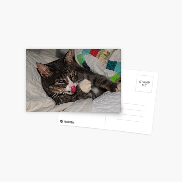 I Can Touch My Nose Postcard
