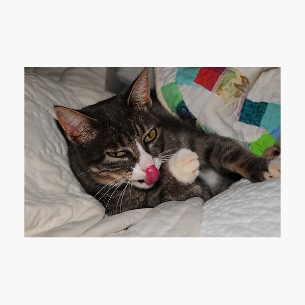 I Can Touch My Nose Photographic Print