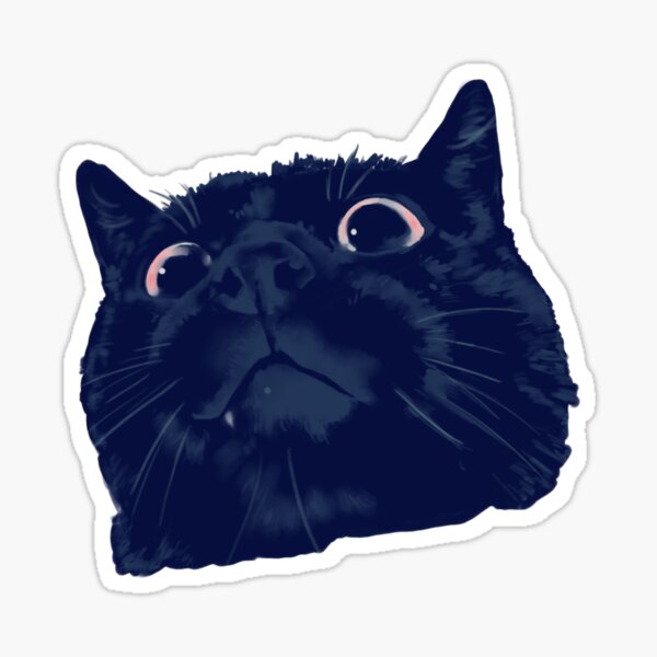 Judgmental Black Cat Sticker