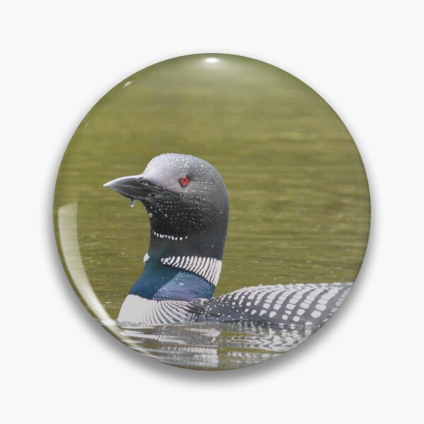 Item preview, Loon in breeding plummage designed and sold by Dusty Perin.
