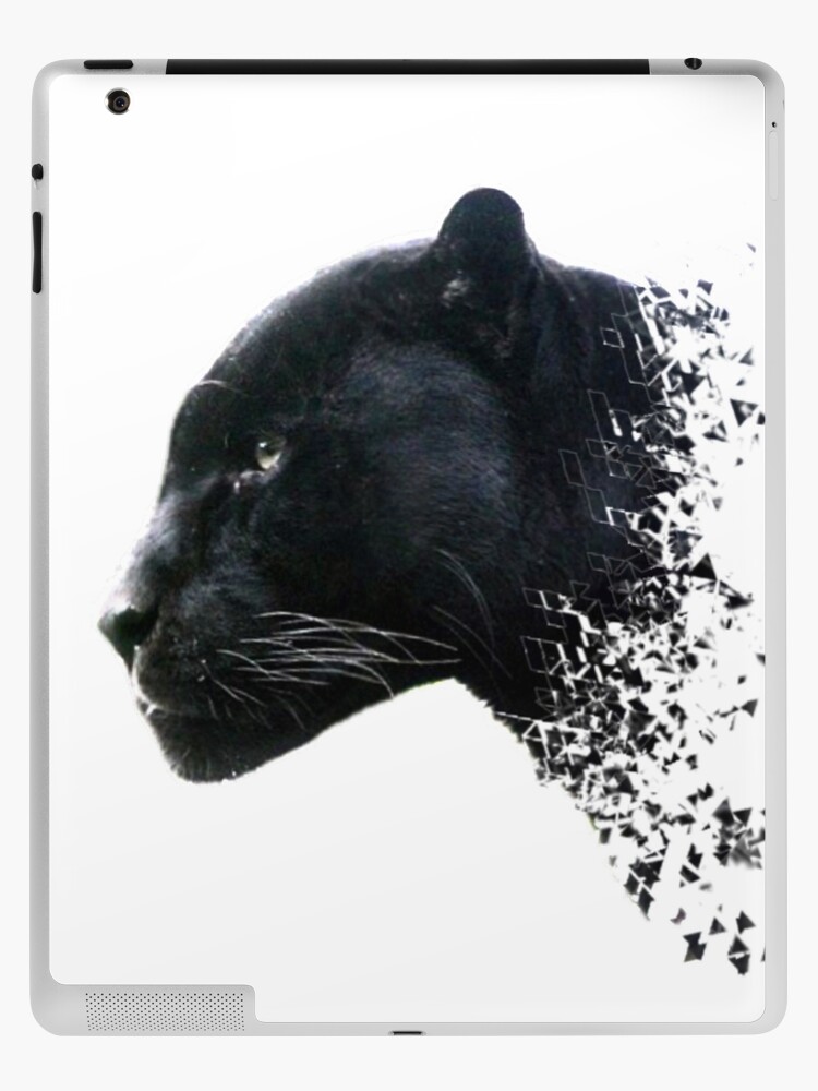 Black Panther Shattered Fierce Attack Black Panther Shattered Fierce Attack