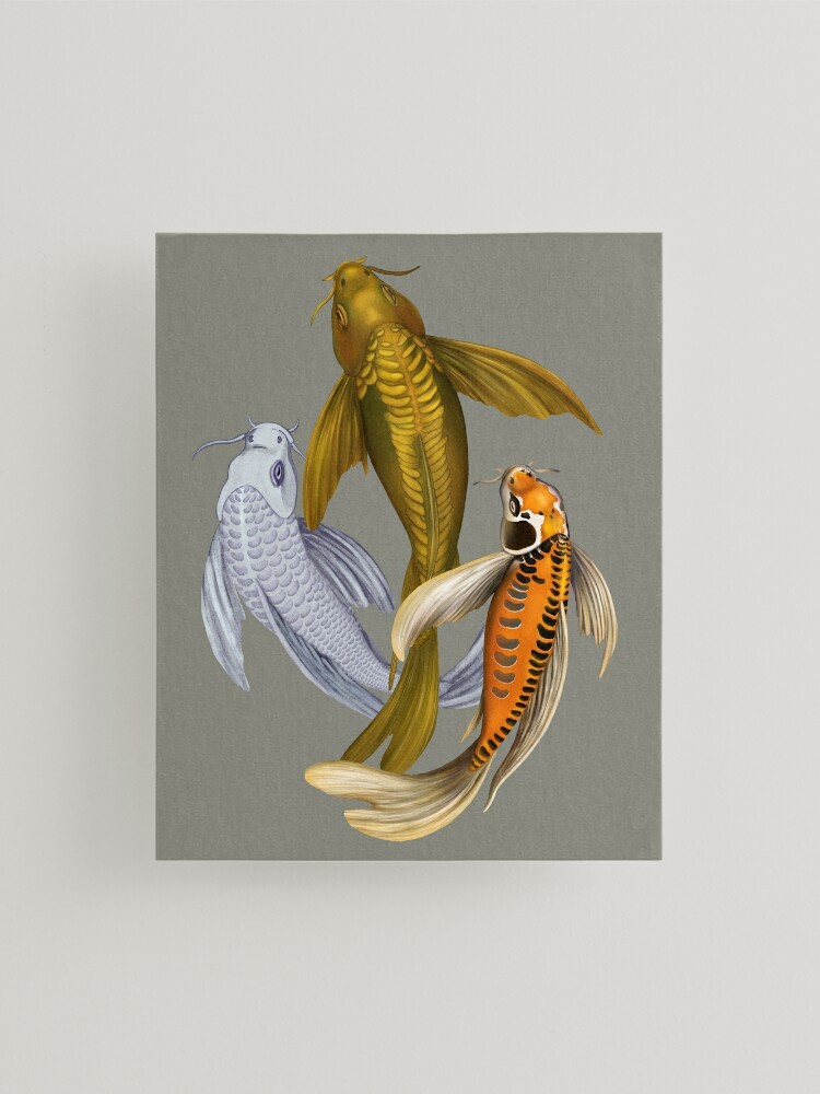 Three Butterfly Koi Fish' Art Print - mduerksen