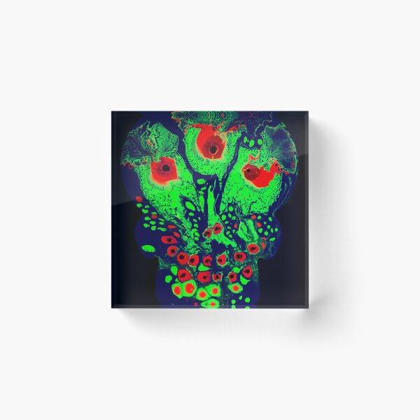 SOUL SKULLS Acrylic Block