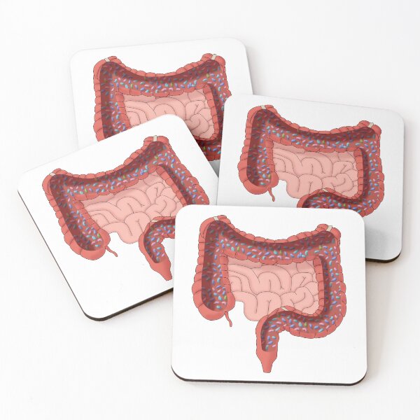 Item preview, Large Intestine with Healthy Bacteria, Illustration designed and sold by ScienceSource.