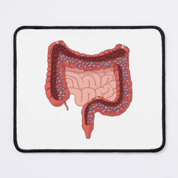 Item preview, Large Intestine with Healthy Bacteria, Illustration designed and sold by ScienceSource.