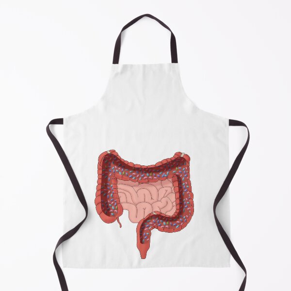 Item preview, Large Intestine with Healthy Bacteria, Illustration designed and sold by ScienceSource.