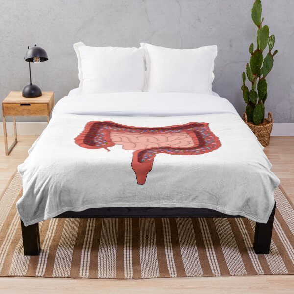 Item preview, Large Intestine with Healthy Bacteria, Illustration designed and sold by ScienceSource.