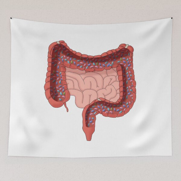 Item preview, Large Intestine with Healthy Bacteria, Illustration designed and sold by ScienceSource.