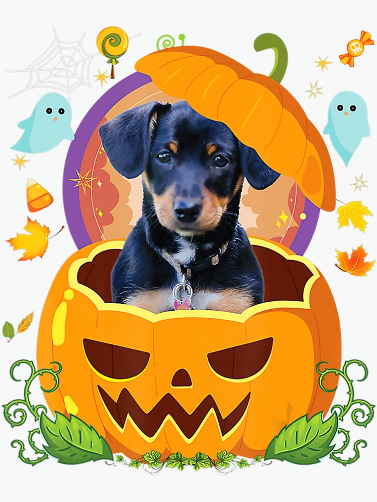 Cute halloween dog with pumpkins and witch hat | Sticker