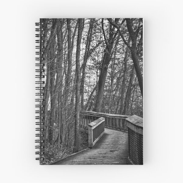 Item preview, Wooden Walkway In The Woods designed and sold by KirtTisdale.