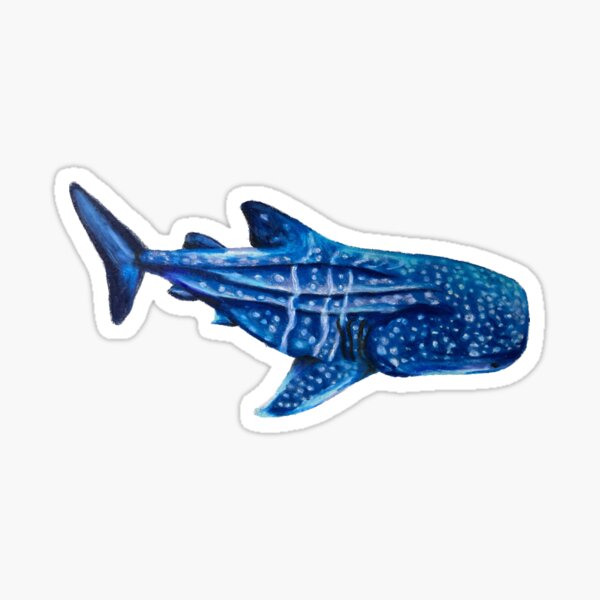 Item preview, Whale Shark designed and sold by Aubree Parkinson.