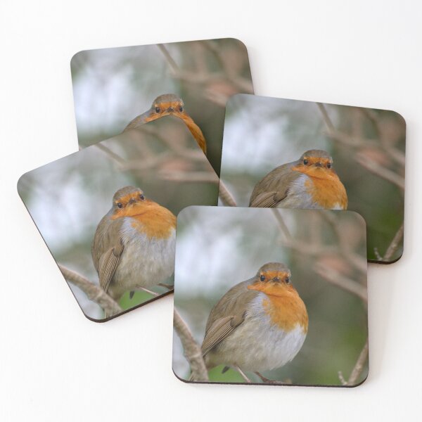 Item preview, Red Robin designed and sold by KLloydPhotos.