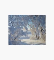 Snow caked trees Art Board
