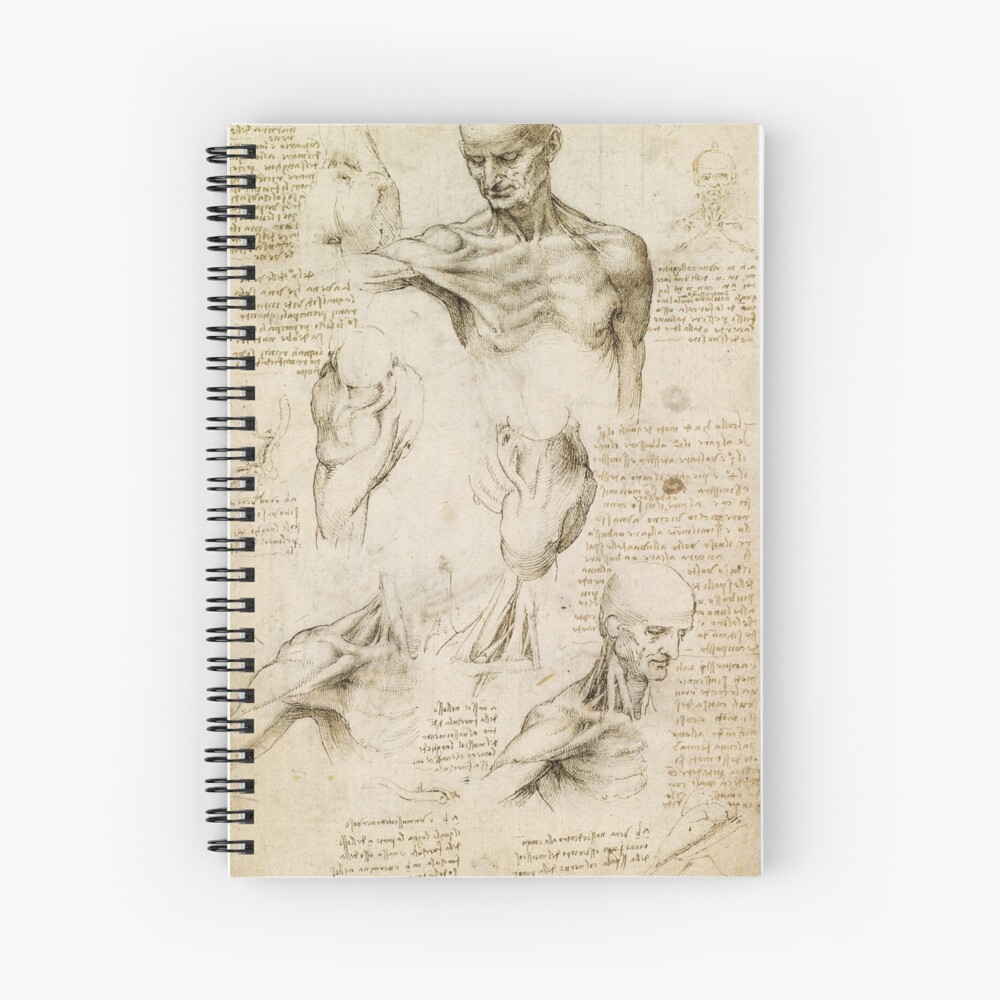 Leonardo da Vinci Anatomy Drawing Leonardo da Vinci Anatomy Drawing