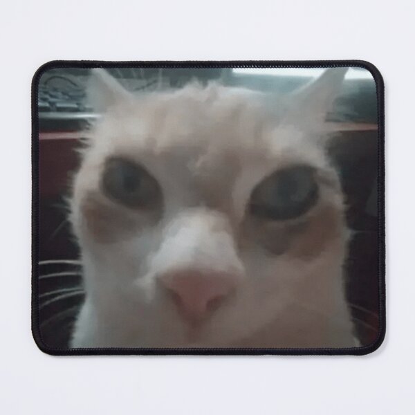Item preview, Judging cat meme designed and sold by Jeampierre007.