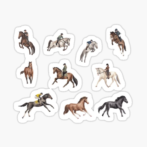 "Horse riding sticker set" Sticker for Sale by GlowinUp Shop Redbubble