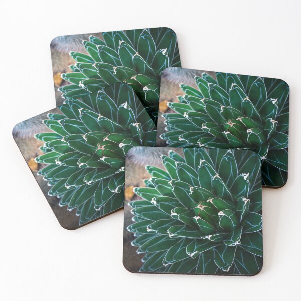 Aperçu de l'œuvre Agave créée et vendue par MajesticsGarden.