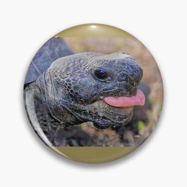 Artikelvorschau, Gopher-Schildkröte entworfen und verkauft von Joe Saladino.