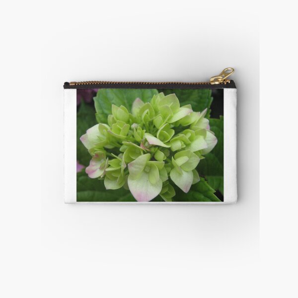 Item preview, Hydrangea designed and sold by Ana Belaj.