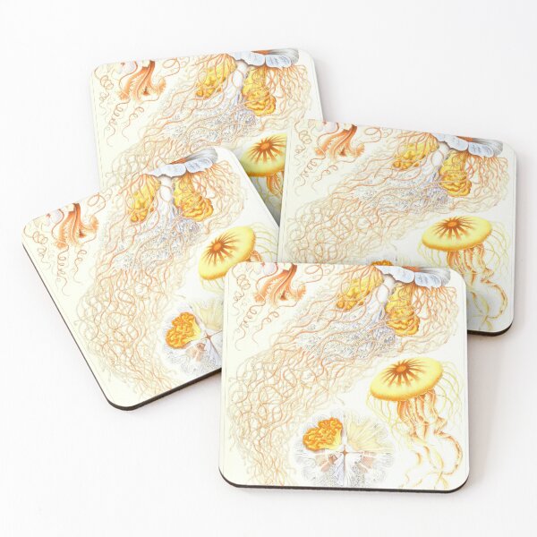 Item preview, Vintage Jellyfish_Zoology Collection_Discomedusae designed and sold by LynnePham.