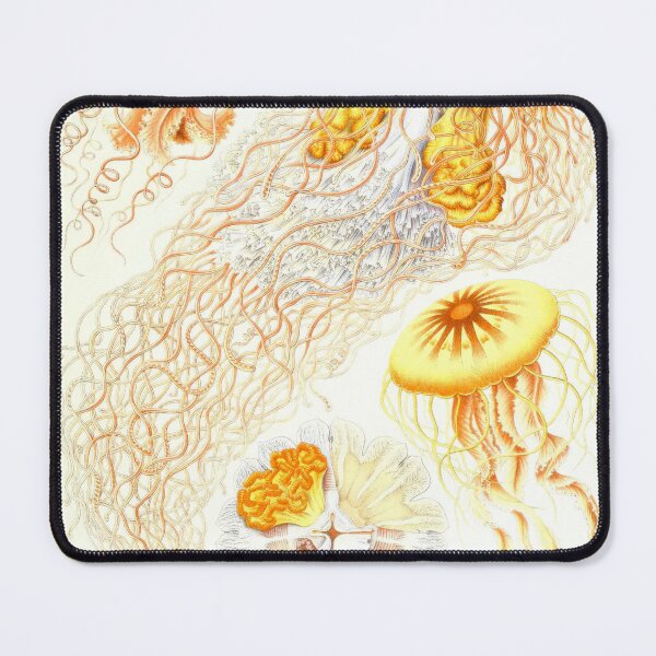 Item preview, Vintage Jellyfish_Zoology Collection_Discomedusae designed and sold by LynnePham.