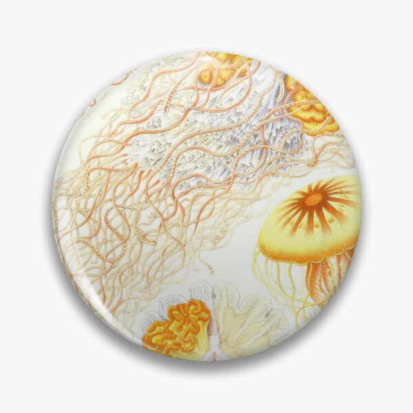 Item preview, Vintage Jellyfish_Zoology Collection_Discomedusae designed and sold by LynnePham.