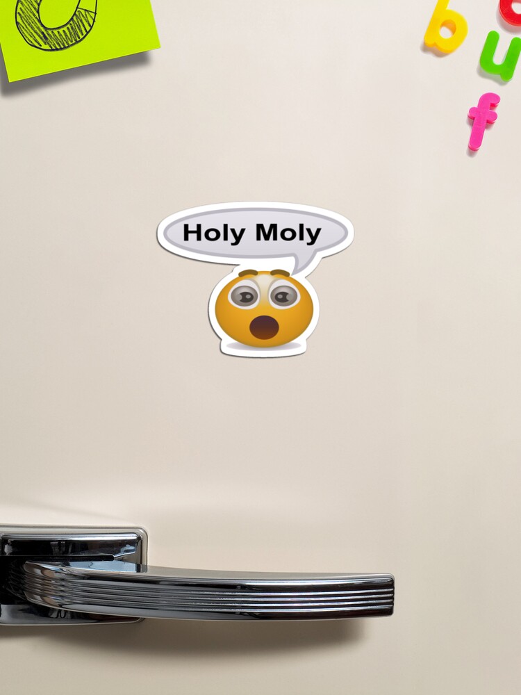 holay molay holy moly emoji Spiral Notebook for Sale by shlaboza