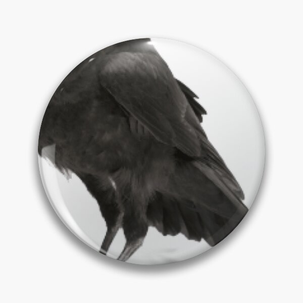 Item preview, Black hawk ruffled feathers against the cold designed and sold by MoMorales20.