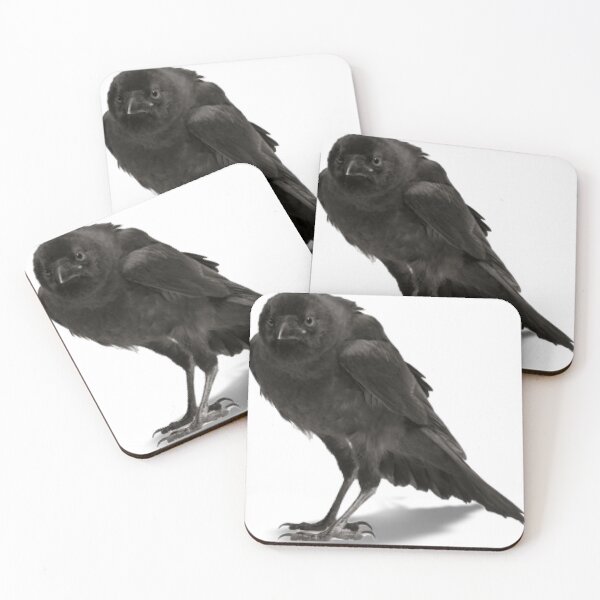 Item preview, Black hawk ruffled feathers against the cold designed and sold by MoMorales20.