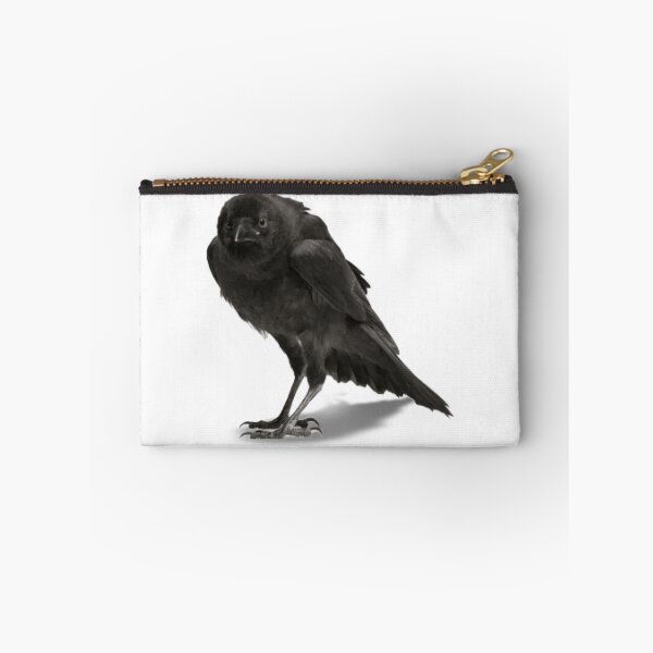 Item preview, Black hawk ruffled feathers against the cold designed and sold by MoMorales20.