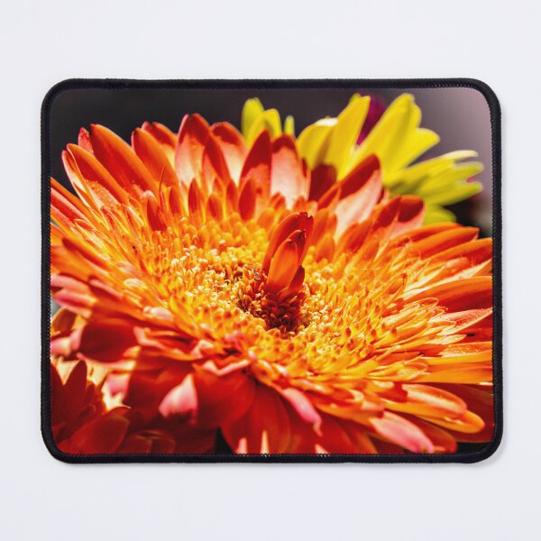 Item preview, Daisy Orange designed and sold by barkeypf.