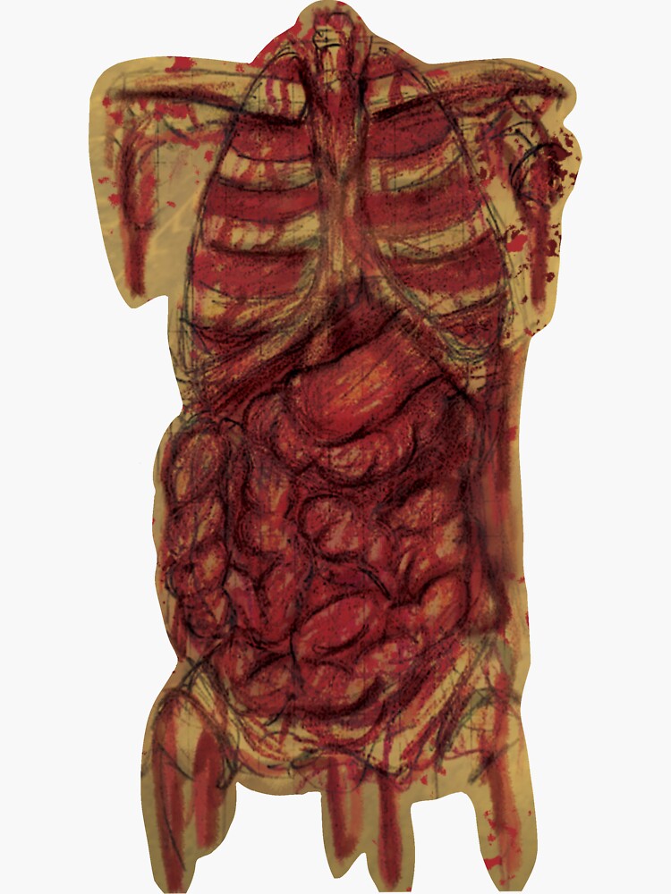 Thumbnail 3 of 3, Sticker, Old Anatomy (Torso) designed and sold by D00dleDucky.