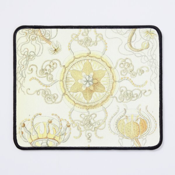 Item preview, Vintage Jellyfish_Zoology Collection_Trachomedusae designed and sold by LynnePham.