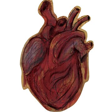 Artwork thumbnail, Old Anatomy (Heart) by D00dleDucky