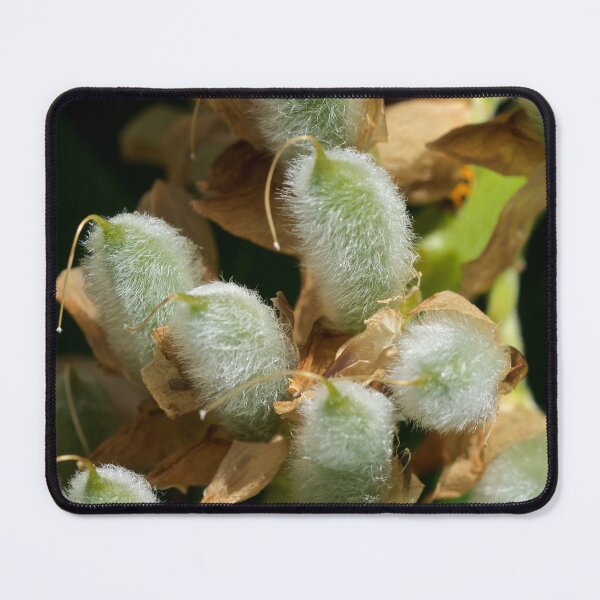 Item preview, Fuzzy  designed and sold by D-GaP.