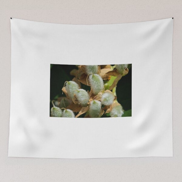 Item preview, Fuzzy  designed and sold by D-GaP.
