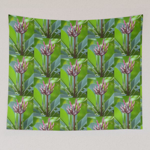 Item preview, Anticipation designed and sold by Kerryn Madsen-Pietsch.