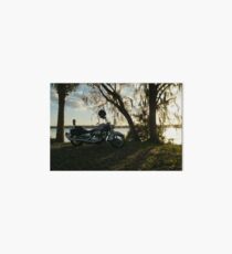 Crusin' Art Board Print