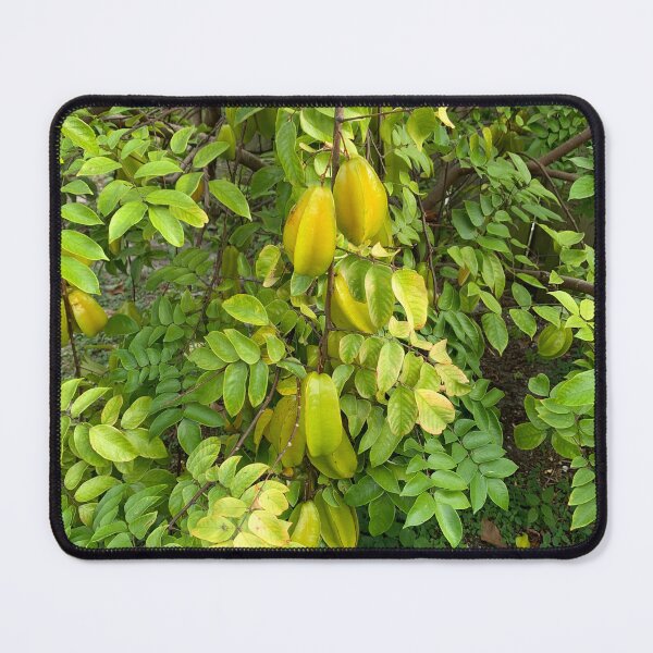 Item preview, Starfruit Tree designed and sold by aurorarealis.