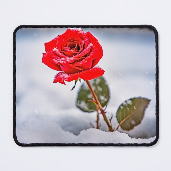 Item preview, Red Rose in Snow designed and sold by JGHercules1111.