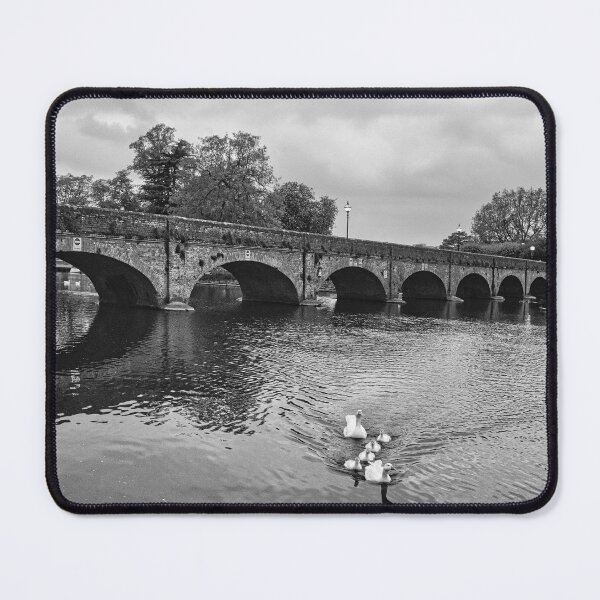 Item preview, The White Swans of the Avon River designed and sold by photograham.