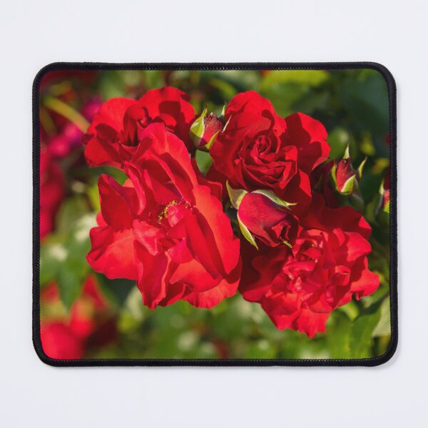 Item preview, Scarlet Cluster of Sweetly Smelling Red Roses designed and sold by Georgia Mizuleva.
