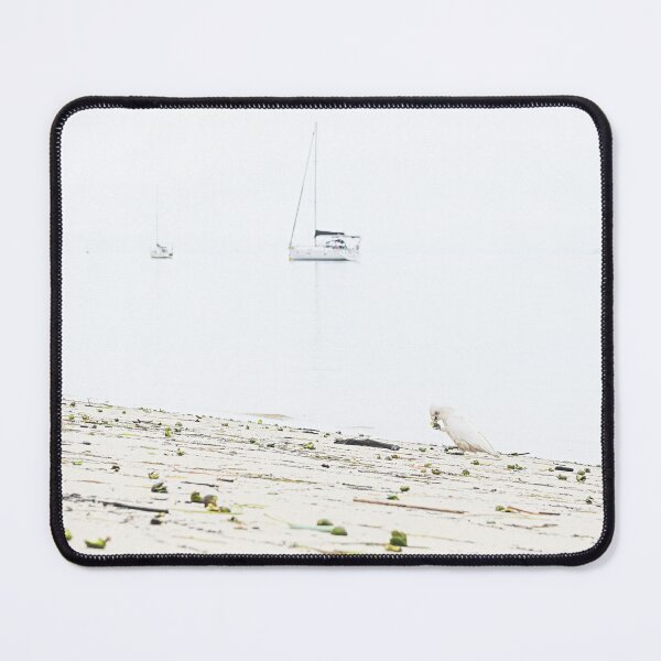 Item preview, Corellas on the beach at Bribie Island, Queensland designed and sold by Liza Clements Photographic.