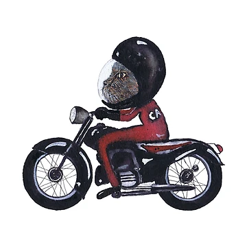Artwork thumbnail, MEOW RIDER by Hares & Critters