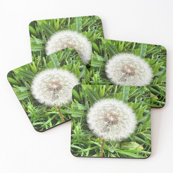 Aperçu de l'œuvre Wish, Dandelion Puff. créée et vendue par Scott K Smith.