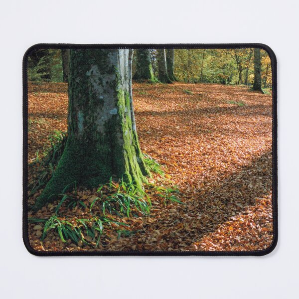 Item preview, Woodland Floor in Autumn designed and sold by David Bowman.