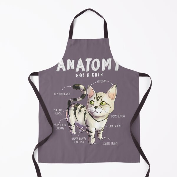 Item preview, Anatomy Of A Cat - Cute Funny Kitten Pet Tee designed and sold by eeagycrk56.